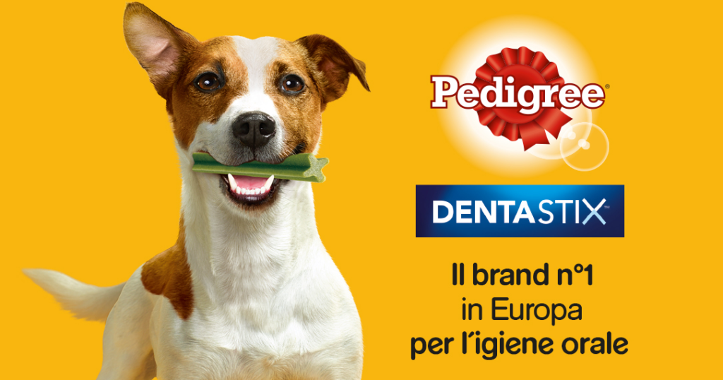 tester pedigree dentastix