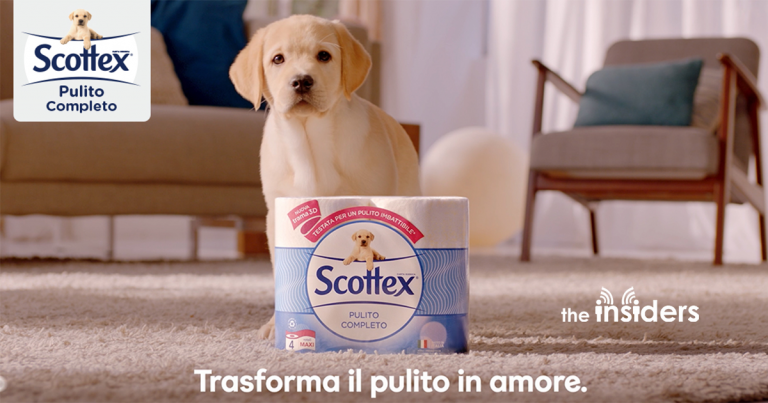 the insiders scottex