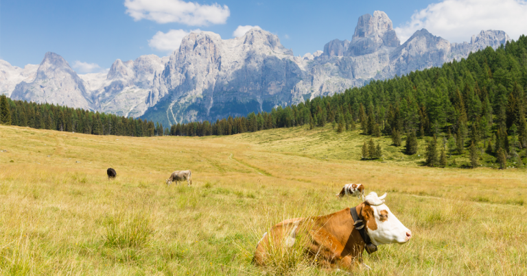hotel serenella valle del vanoi