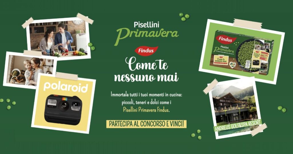 concorso findus