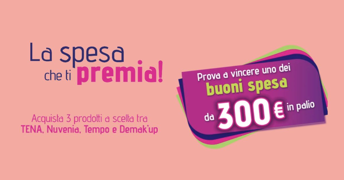 concorso essy multibrand 